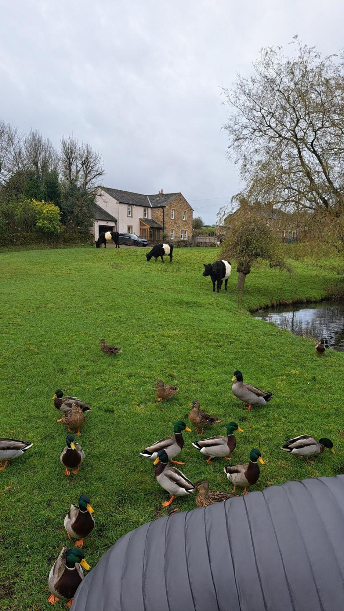 Church House Barn Lake District & Solway Coast With Solway Firth Views Силот Екстериор снимка